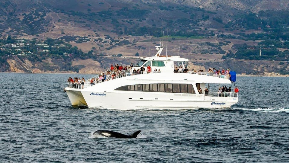 13. Long Beach: Whale and Dolphin Watching Cruise - Image 13