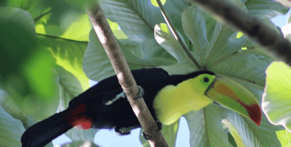 9. Birds Photography Expedition with Transportation - Image 9