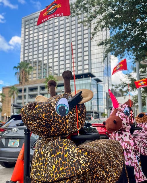 Riverwalk and Downtown Tour on a Rydable Gallery Image 2