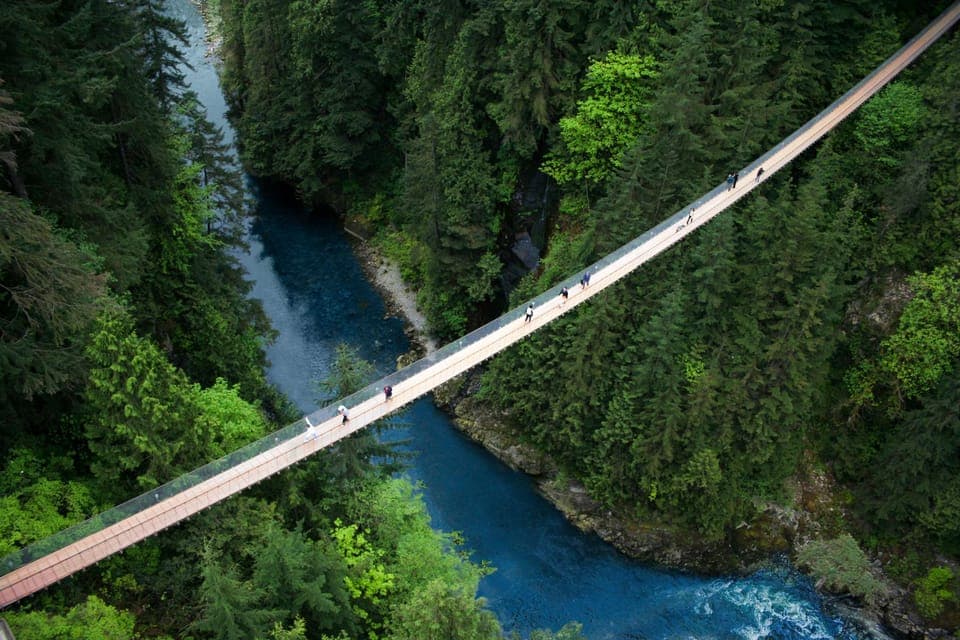 Capilano Suspension Bridge Park Ticket Gallery Image 1