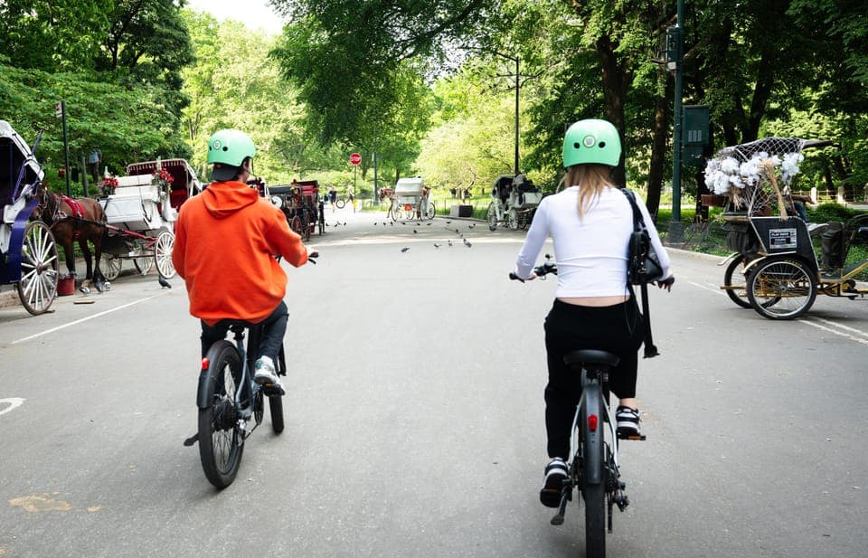 Central Park Guided Electric Bike Tour Gallery Image 4