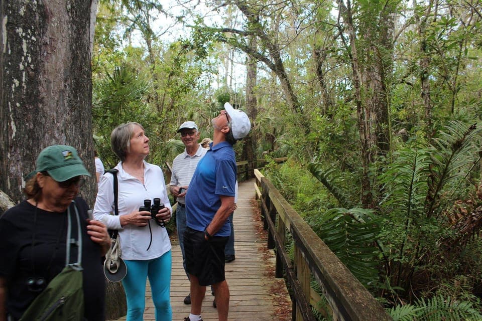 Everglades Tour w/90 minute boat trip & 3 Hikes! Gallery Image 2