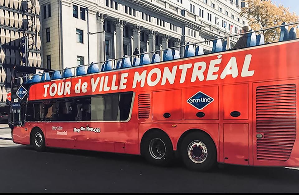 Hop-On Hop-Off Double-Decker Bus Tour Gallery Image 3