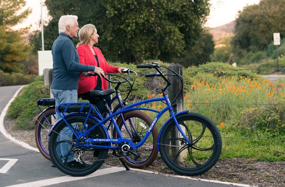 Electric Bike Rentals Leesburg, VA: Full Day or Half Day Gallery Image 4