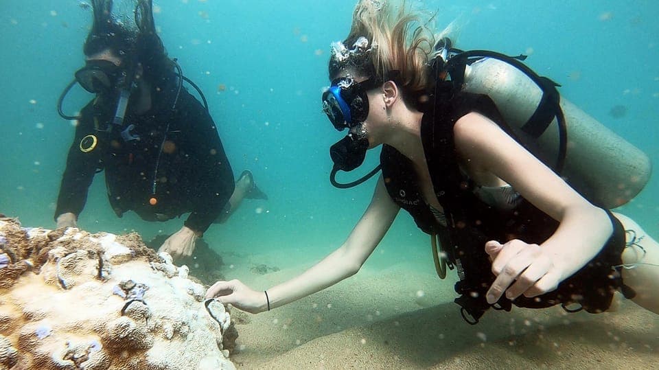 West Palm Beach: Beginner Scuba Diving Adventure with Videos Gallery Image 3