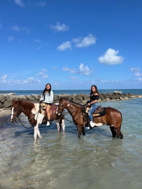 Beach Horse Ride & Nature Trail Gallery Image 4
