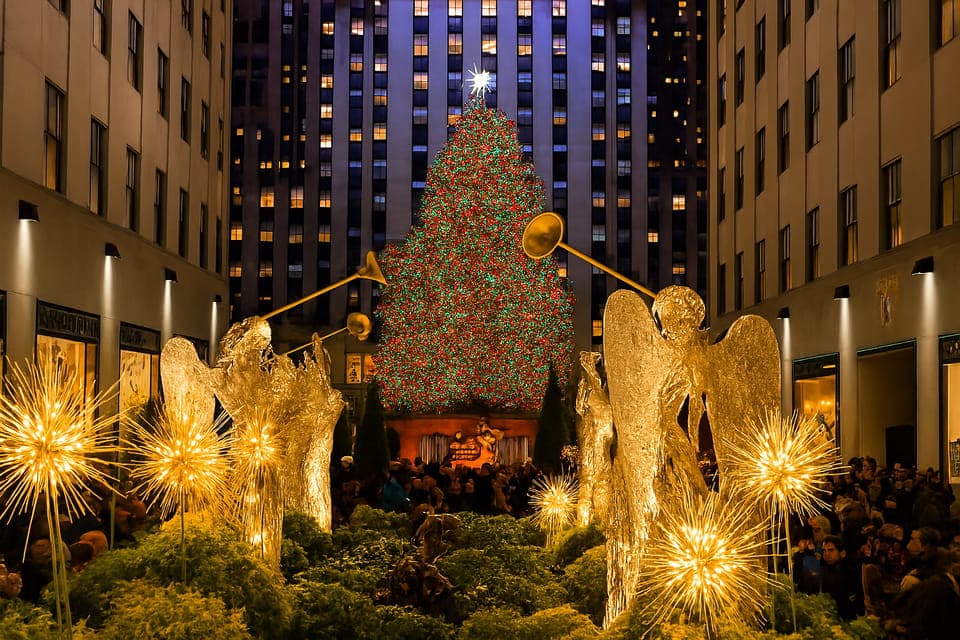 35. Christmas Lights Horse Carriage Ride - Image 35