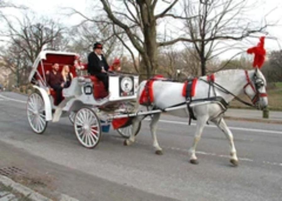 Central Park Horse Carriage 45-min Ride Gallery Image 1