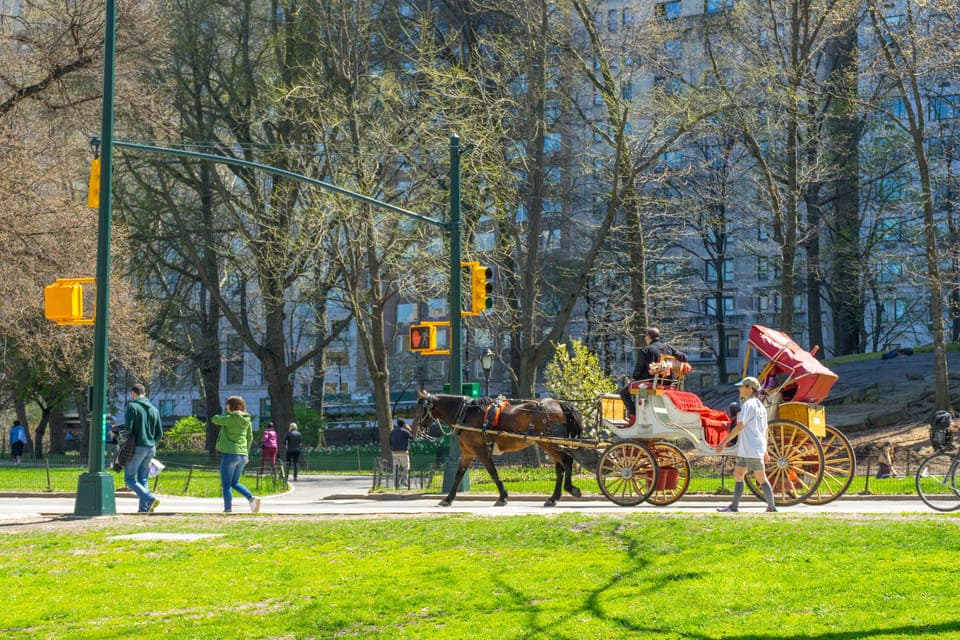 New York Private Central Park Horse Carriage Ride with Guide Gallery Image 3