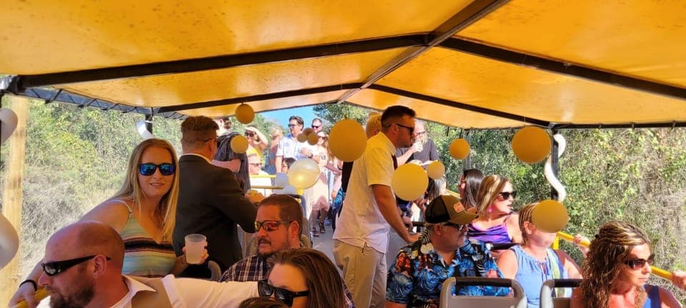 Cancun: Private 3 Hour Party Bus Experience Gallery Image 4