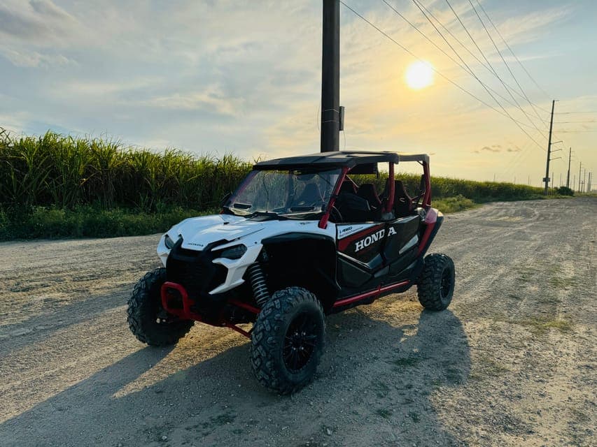 Miami's Ultimate Buggy Adventure on a Honda Talon UTV Gallery Image 1