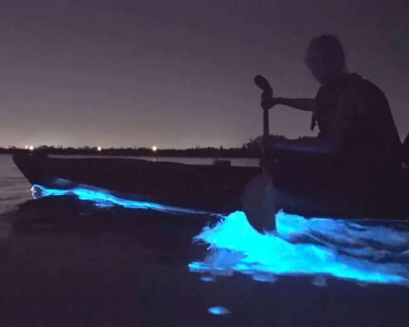 17. Eastsound: Orcas Island Bioluminescent Kayak Tour - Image 17