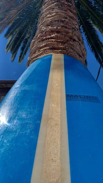 Santa Monica: Surfboard and Wetsuit Rental Gallery Image 4
