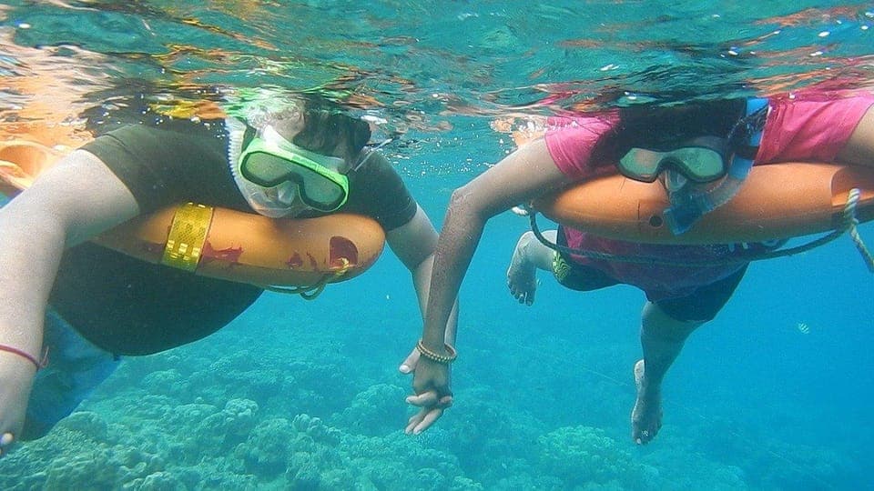 Miami Snorkeling for Beginners from Bayside Market Place Gallery Image 4