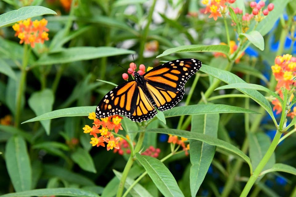 Niagara Falls, Canada: Winter Wonder Tour Gallery Image 3