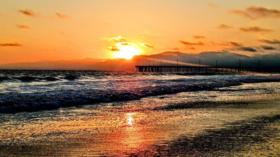 13. LA's Most Romantic Luxury Wine & Dine Boat Cruise & Sealions - Image 13