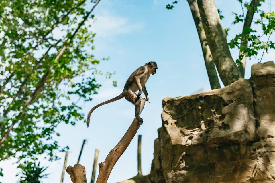 1-Day Ticket to Barcelona Zoo Gallery Image 4