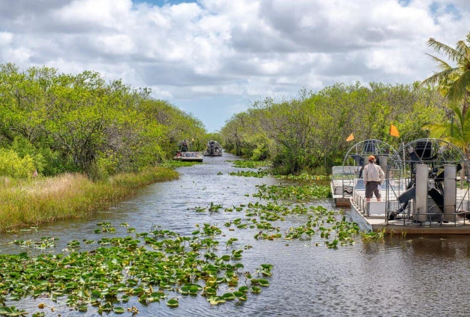Miami Beach: Everglades Airboat Tours and Rides Gallery Image 2