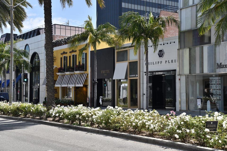 Los Angeles, Hollywood, and Beverly Hills Private Tour. Gallery Image 4