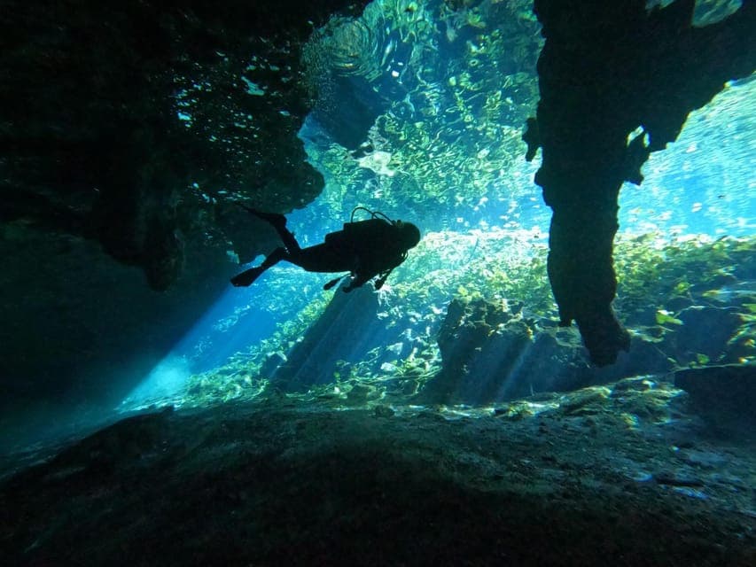Cancun 2 Cenote Dives: The Pit + Nicte Ha - Certified Divers Gallery Image 1