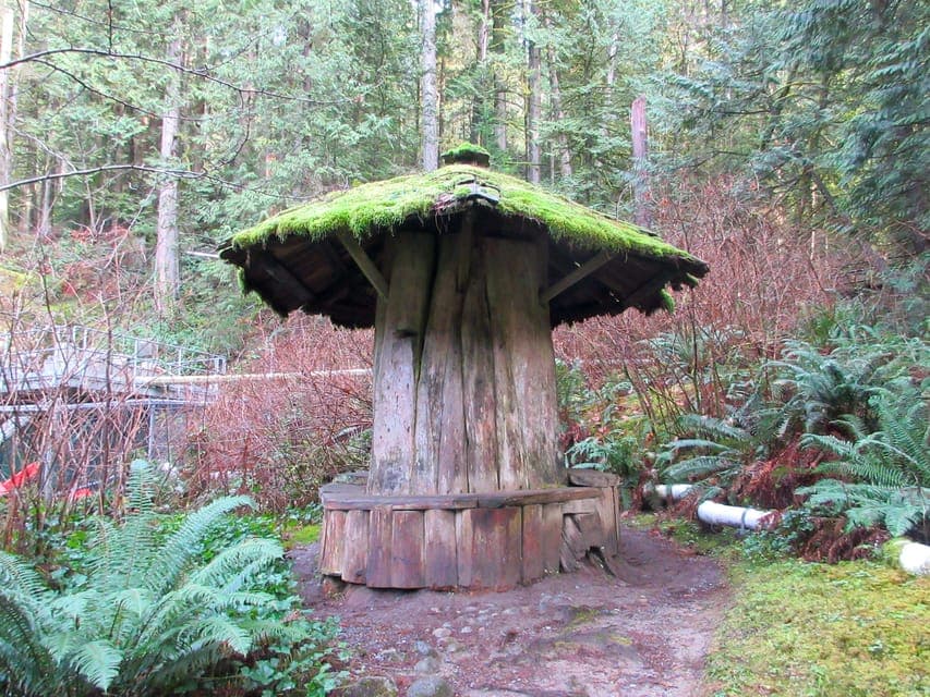 Capilano River Hatchery Love the Land Tour Gallery Image 3