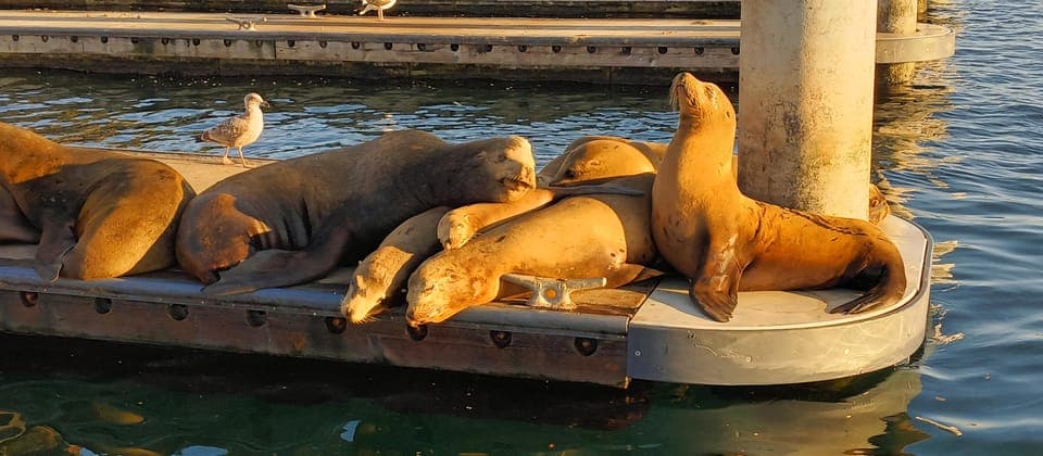 Romantic Boat Cruise with Wine & Cheese or Surprise Dinner Gallery Image 3