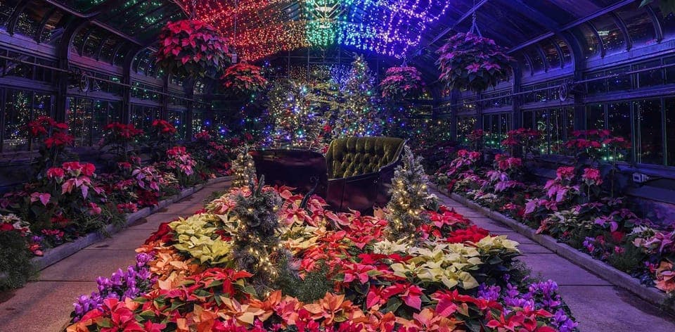 Niagara Falls, Canada: Winter Wonder Tour Gallery Image 4