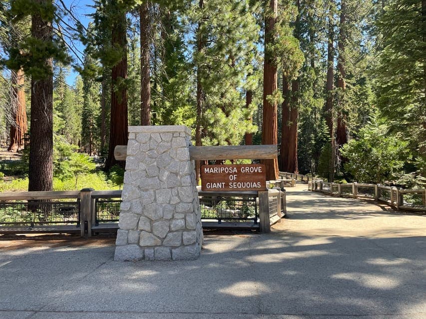 Yosemite, Giant Sequoias, Private Tour from San Francisco Gallery Image 2