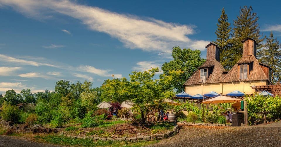 Guided Coastal Redwoods & Wine Country Tour Gallery Image 3