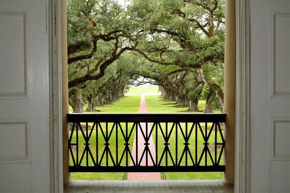 Oak Alley Plantation Tour with Transportation Gallery Image 4