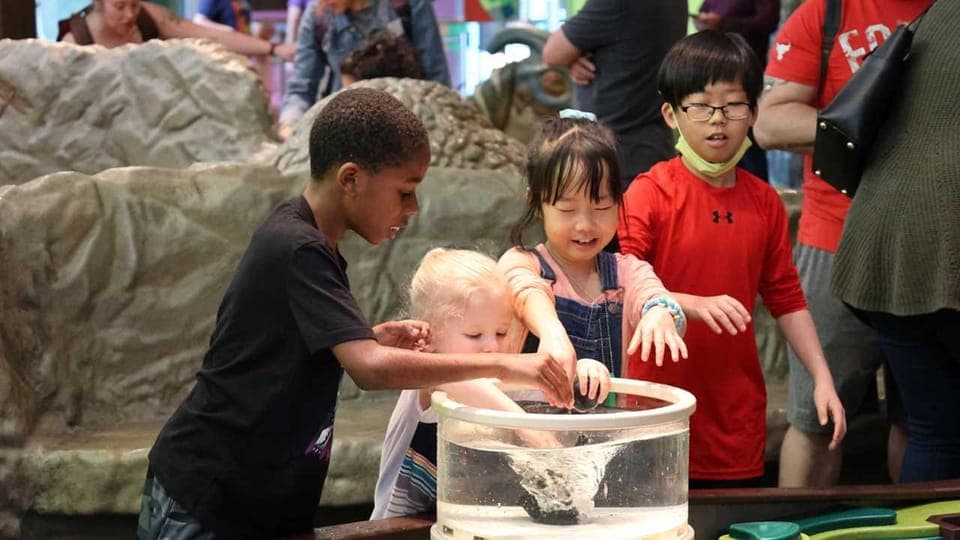 Museum of Nature and Science Entry Ticket Gallery Image 4