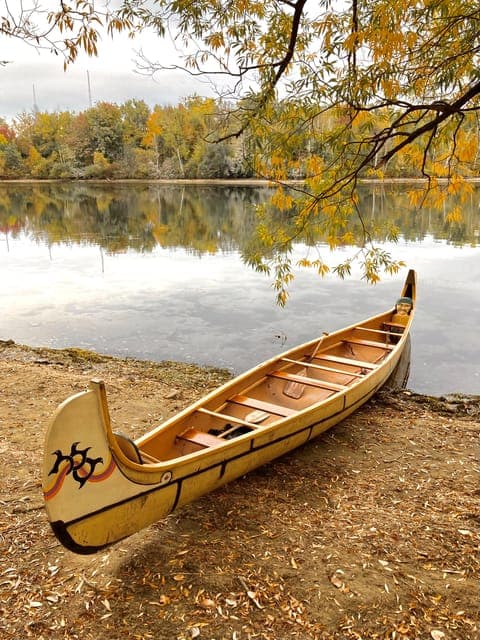 Fall Colours Canoe Tour of the Toronto Islands Gallery Image 4