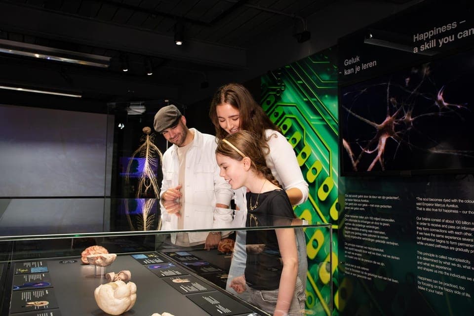 Body Worlds Amsterdam: The Happiness Project Ticket Gallery Image 4