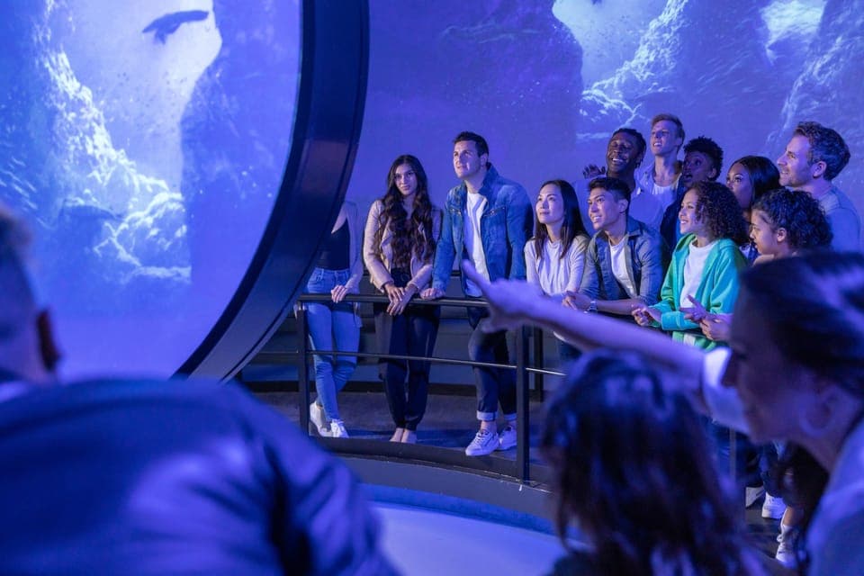 Immersive Flyover Journey Ticket Gallery Image 2