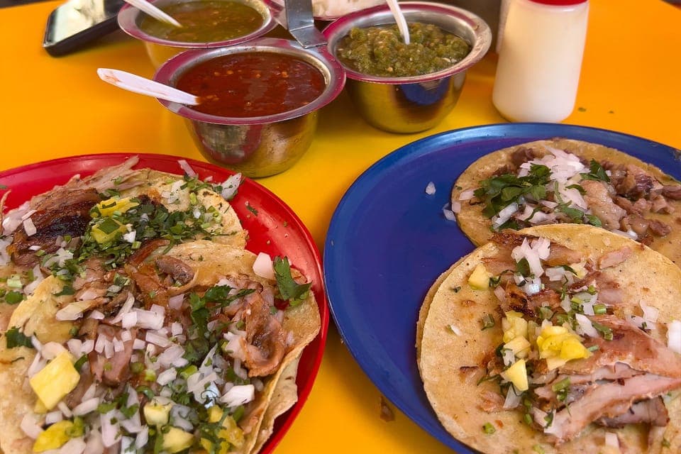16. CDMX: Exotic Food and Market Tour - Image 16