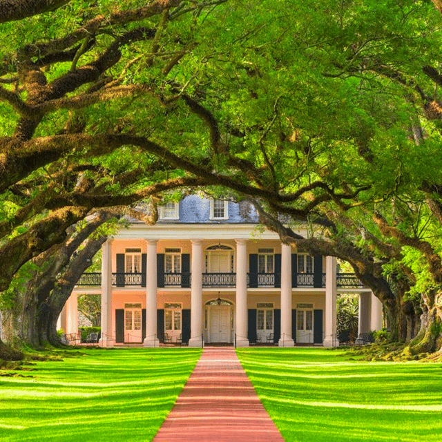 Oak Alley Plantation Tour and Transportation - Image 1