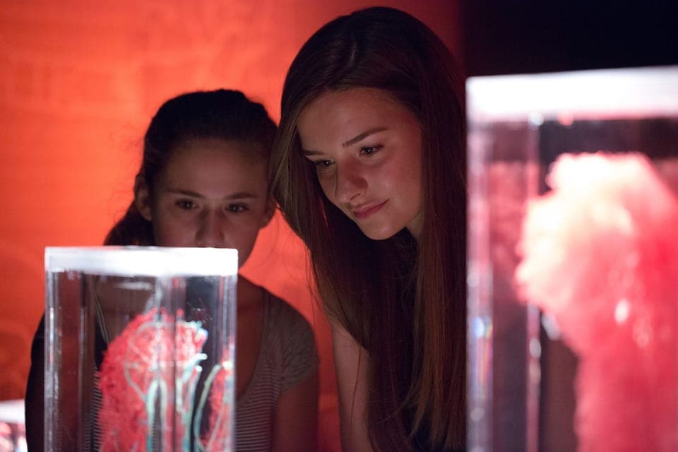 REAL BODIES at Horseshoe Las Vegas Entry Ticket Gallery Image 4