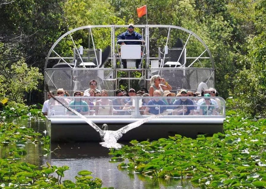 Miami Beach: Everglades Airboat Tours and Rides Gallery Image 1