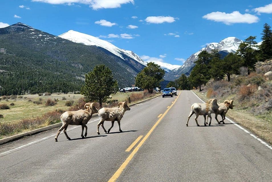 Denver/Boulder: Rocky Mountain National Park Tour Gallery Image 2