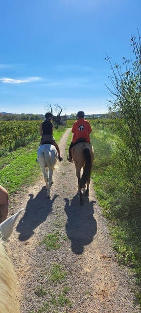 Penedès Vineyard Horseback Ride with Wine Tasting Gallery Image 4