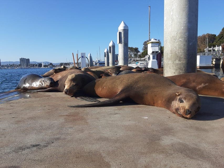 Sunset Sailing Gallery Image 4