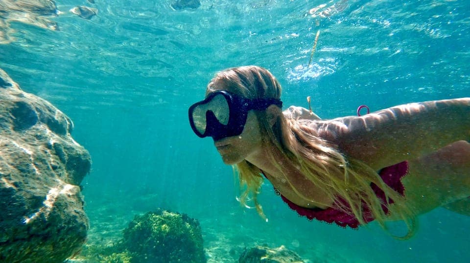2. West Palm Beach: Beginner Snorkel Tour with Turtles & Videos - Image 2
