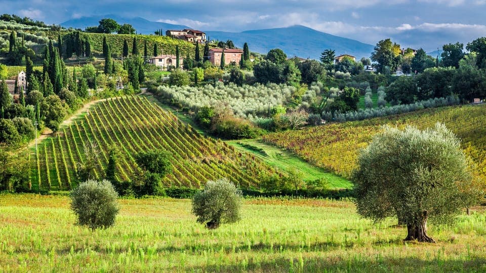 Horseback Riding and Wine Tasting Tour Gallery Image 2