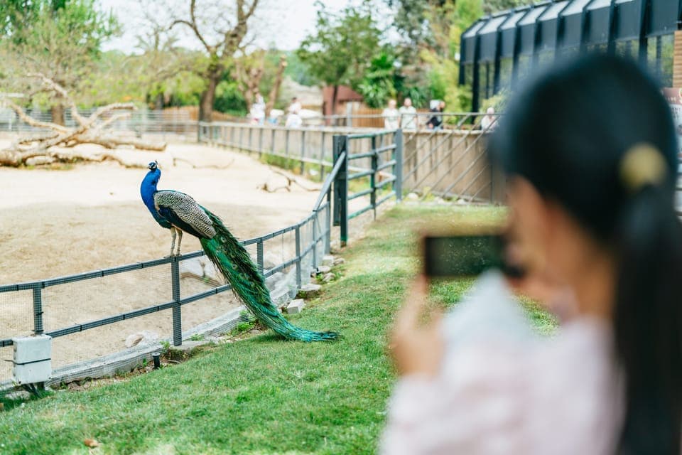 1-Day Ticket to Barcelona Zoo Gallery Image 3