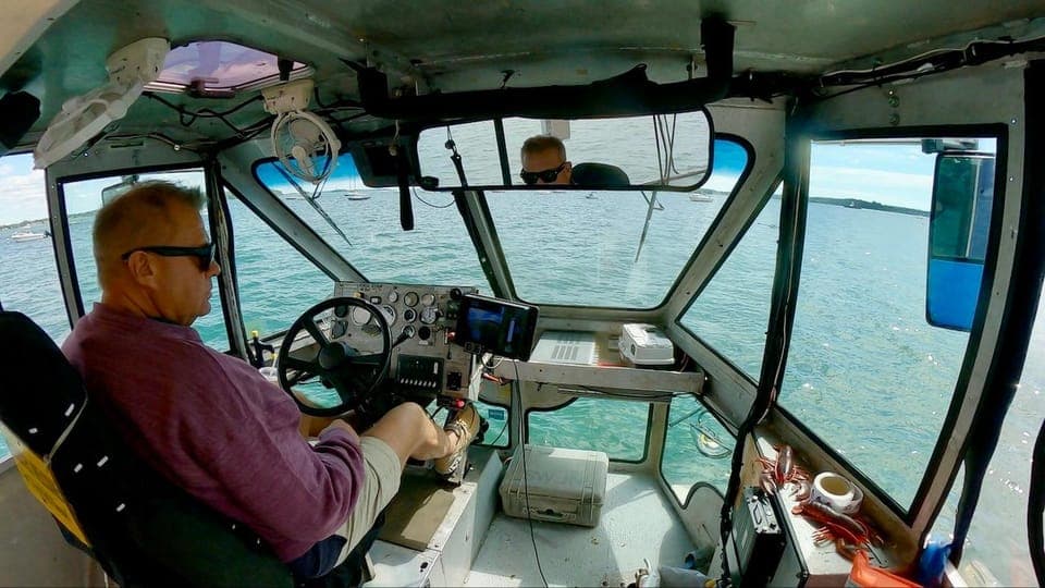 Land and Sea Tour Duck Tour with a Guide Gallery Image 4