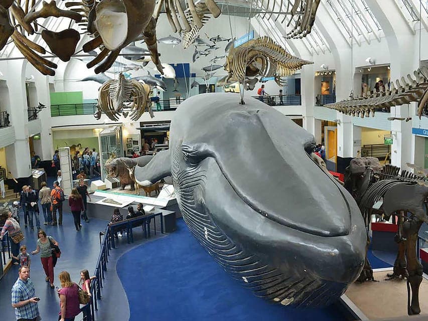 Guided Tour of Natural Marvels Gallery Image 3