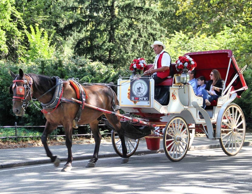 Central Park Horse Carriage 25-min Ride Gallery Image 3