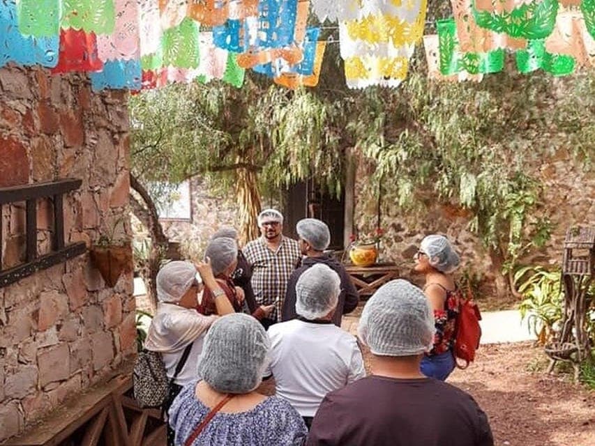Private Cheese and Wine Tour to Queretaro Gallery Image 3