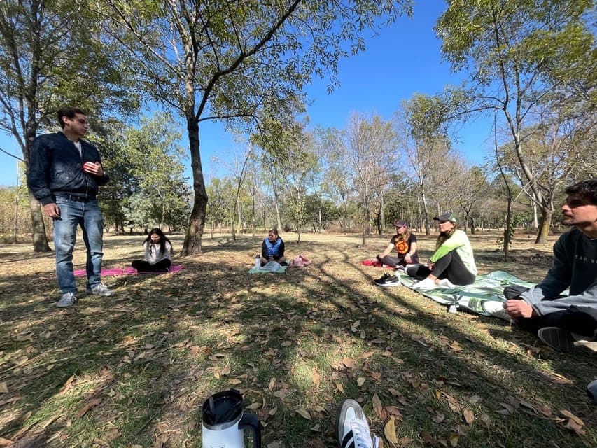 CDMX: Nature Therapy Guided Session Gallery Image 2