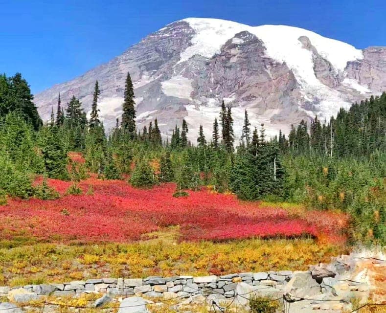 Mount Rainier Guided Day Tour Gallery Image 4